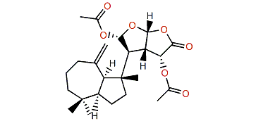 12-Acetoxy dendrillolide A
